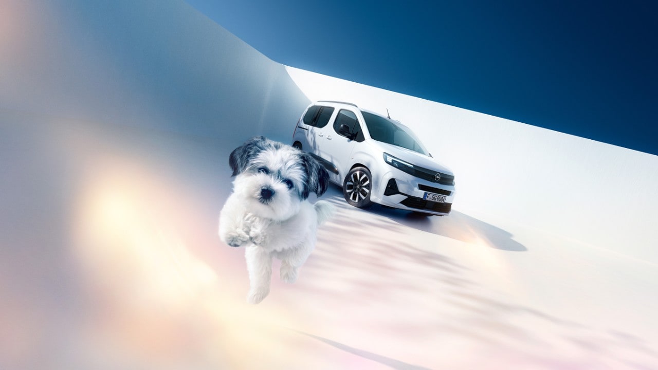 Pohľad spredu na biely Opel Combo so psom